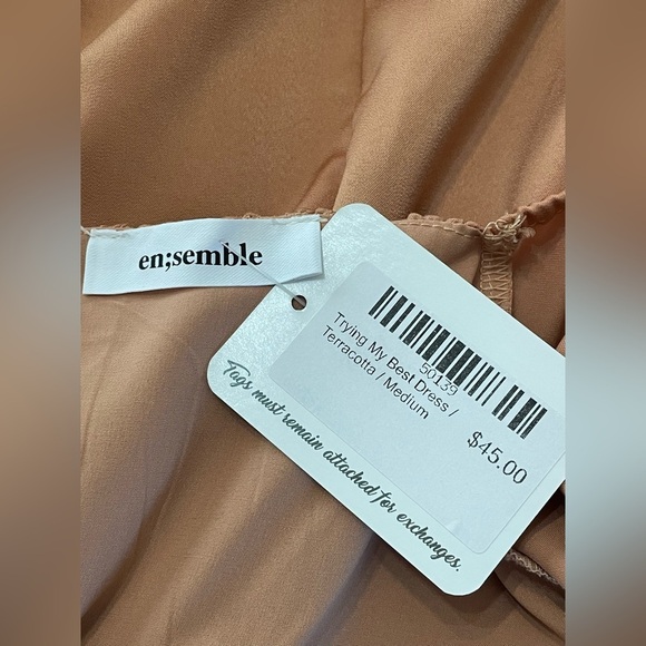 en;semble “Trying My Best Dress” Terracotta Balloon Sleeve Dress NWT Medium - Picture 9 of 10